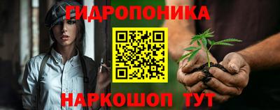 мдпв Долгопрудный