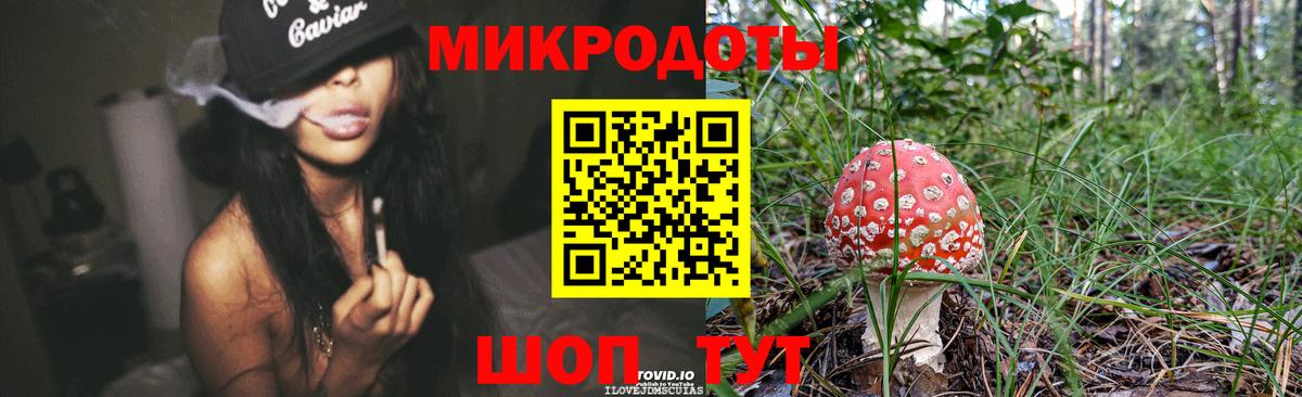 Советск  Галлюциногенные грибы Cubensis  Галлюциногенные грибы Cubensis  Вход с VPN 