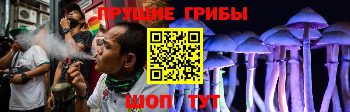 Псилоцибиновые грибы прущие грибы Советск